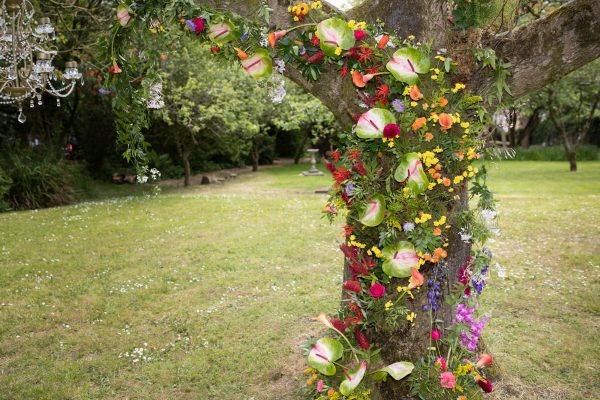 tree decs 600x400 - Carly & Sam